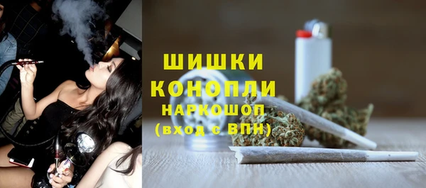 соль ск Каменногорск