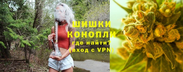 молекула духа Карпинск