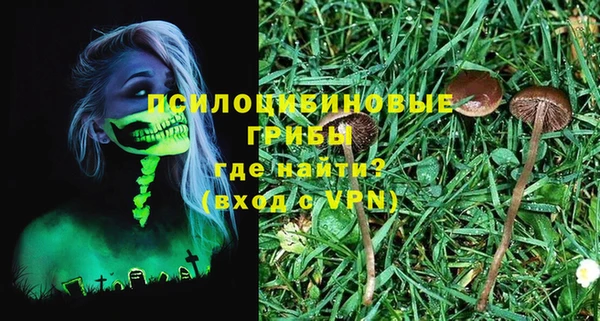твердый Каменка