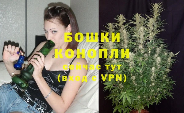 соль ск Каменногорск