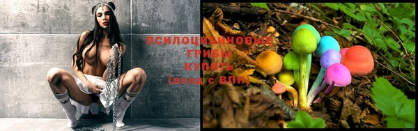 твердый Каменка