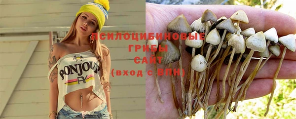 соль ск Каменногорск