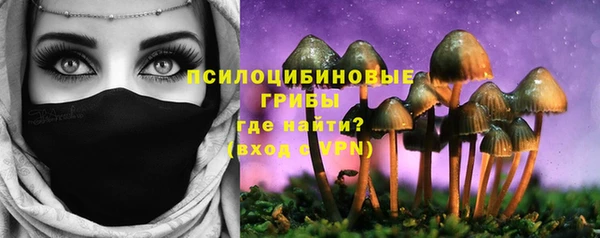 молекула духа Инта