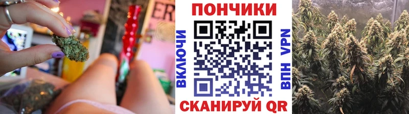 Купить где  Дорогобуж  Бошки Шишки SATIVA & INDICA 